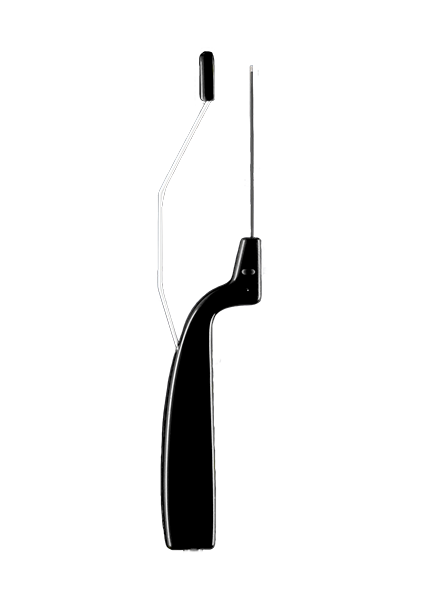 Aviva: remodelación y tensión de los genitales externos